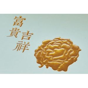 Professional Automatic Hot Foil Stamping Machine for Precise Stamping