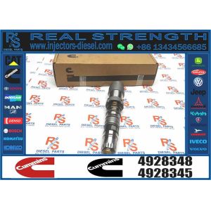 Wholesale Directly Supply QSK19 QSK60 Engine Fuel Injector 4928348