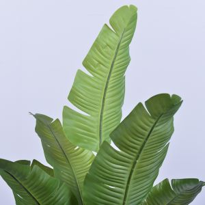 Artificial Travelers Palm with Realistic Leaf Edges 160cm 180cm | Lifelike Faux