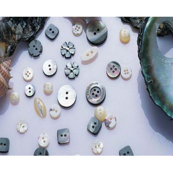 2021 New popular abalone ayoya river MOP shell button
