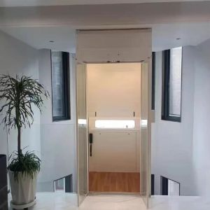 China Single-Phase Automatic Hydraulic Home Elevator with Microprocessor Control on sale
