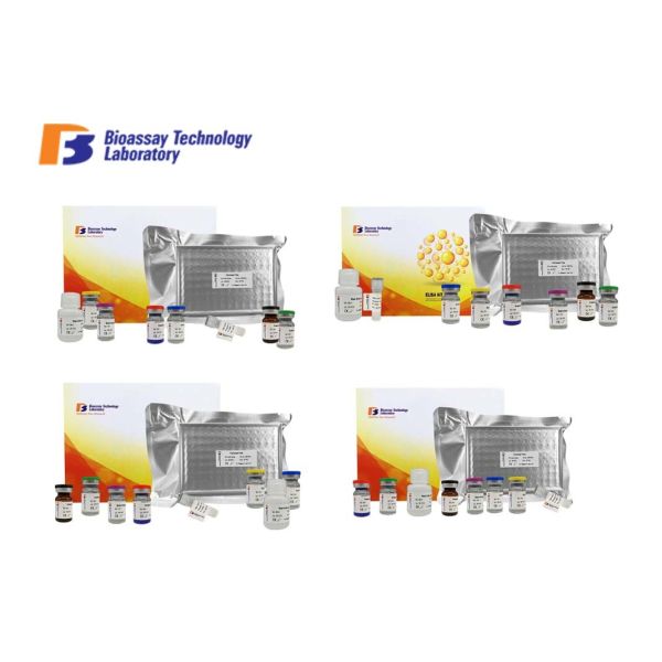 Strong Sensitivity Human ELISA Kit HRH4 Immunoassays Test Kit Customized With 2