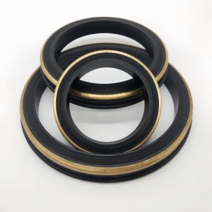 hydraulic lip seal 2'' 3'' 4'' Hammer Union Seal With Brass Or Stainless Steel