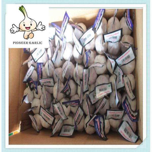 Buy Fresh Organic White Garlic Price 2016 crop Chinese fresh garlic at wholesale prices