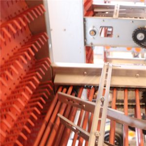 Customized Available Battery Layer Chicken Cage Chicken Poultry Farms
