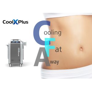 Quality Best Price Cryolipolysis Vacuum Therapy Machine For Body Shaping Newest Fat Freezing Double Channel 4 Handles Slimming for sale