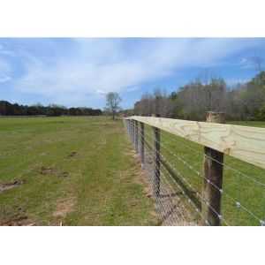 Protection Electro Galvanized Steel Cattle Fence , Deer / Grassland Wire Fence