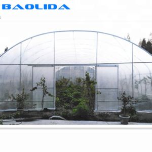 Vegetable Growing Plastic Film Greenhouse / Tunnel Single Span Greenhouse