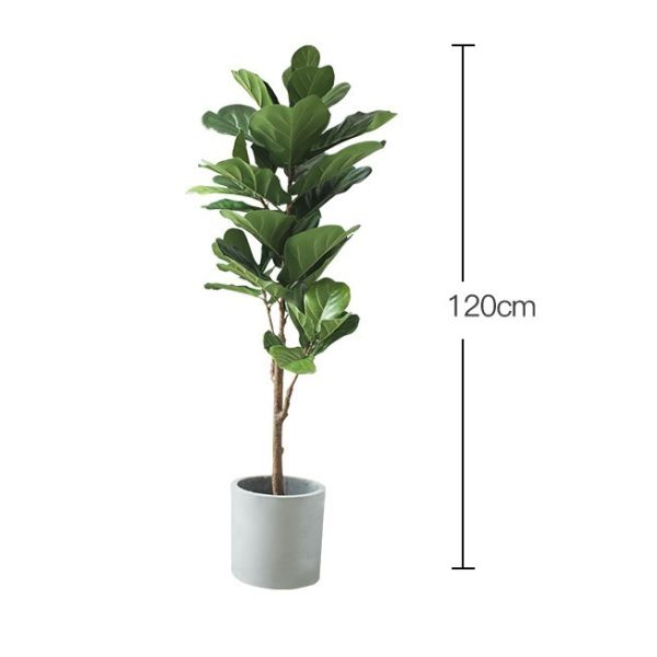 Buy Natural 120cm Height Pandurata Artificial Ficus Tree Landing Plant at wholesale prices