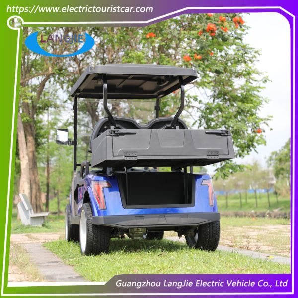 2 Seater Electric Car Club Car Utility Vehicle With Free Maintain Acid Battery Customized Logo