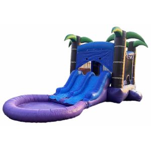 Quality Customized Combo Bouncer With 2 Slides And Pool Wet Or Dry Jumping Castle With Water Slide for sale