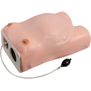 Quality Hospital PVC Maternity Examination Gynecologic Simulator for sale