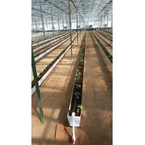 Hydroponic Planting Gutter For Growing Chili Pepper Cucumber And Strawberry