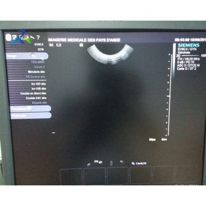 Wideband Micro Convex Endovaginal Ultrasound Probe Transducer Siemens S2000 EV