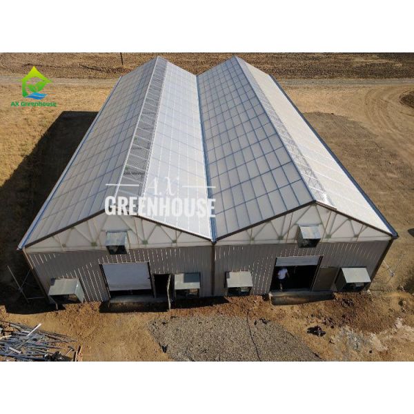 Buy 4m-7m High Tunnel Automated Blackout Greenhouse For Agriculture at wholesale prices