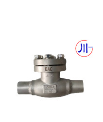 Quality BW Cryogenic Check Valve DN10-100mm for sale