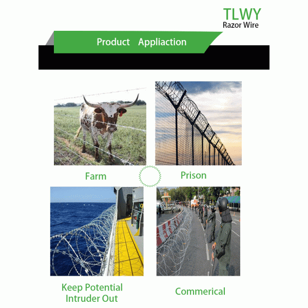 1.5mmx1.5mm Diamond Welded Razor Wire Mesh Electro Galvanized