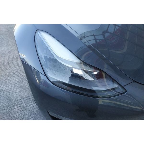245km/H High Speed Blade Battery Electric Vehicles Electric Super Car