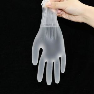 PVC Powder Free Disposable Vinyl Gloves For Foodservice