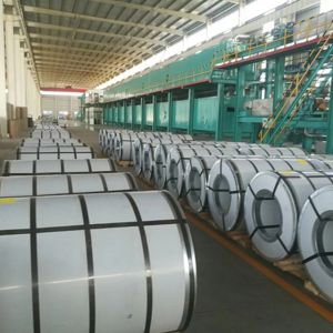 Top Performance PVDF Colour Coated Steel Coils Impact Resistance