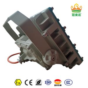 Exproof Led Flood Light ATEX IECEx IP66 MEANWELL driver CREE beads Customizable