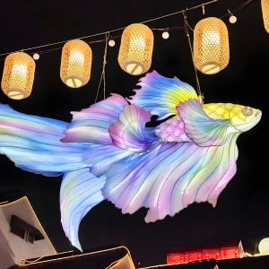 Outdoor Chinese Fish Lantern 3D Light Up Fish Sculpture Lamp