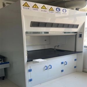 China Customized Made Wall Mounted Chemical Fume Hood With Scrubber Systems on sale