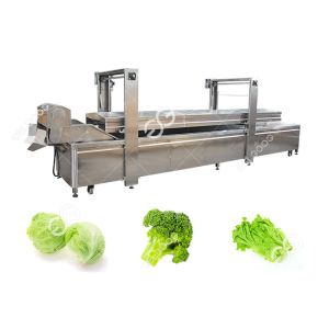 Automatic Food Precooking Vegetable Blanching and Cooking Machine