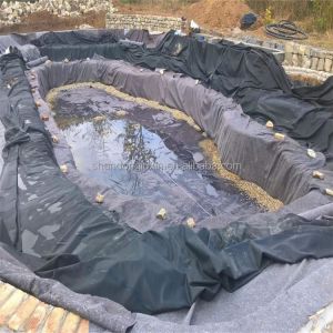 Hdpe Geomembrane Liner Geomembranas For Environmental Projects Waterproof