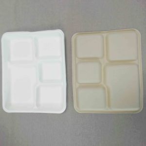 100% Biodegradable Sugarcane Pulp 5 Compartment Tray Natural Bagasse Eco
