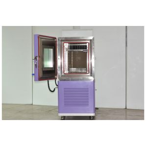 Cold Balanced Vertical Type Benchtop Environmental Test Chamber with Fog-free