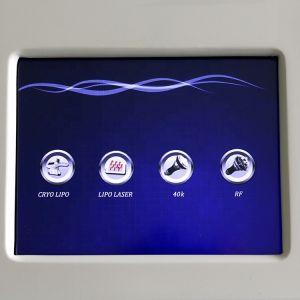 Portable Cryolipolysis Body Slimming Machine With 1 Handle