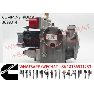 3899014 KTA19 Cummins Injection Pump 3655996 3060949 3419468