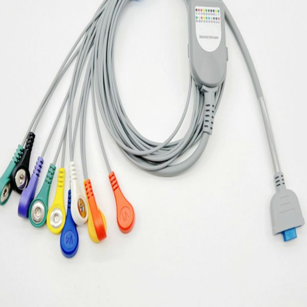 Buy 10 Lead ECG Holter Cable Multifunctional For Adult Pediatric at wholesale prices