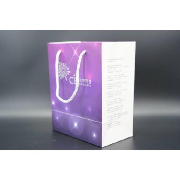 Customizable Printable Natural Kraft Paper Bags In Bulks With Twisted Handles Kraft Paper Bag Manufacturers Paper Shoppi