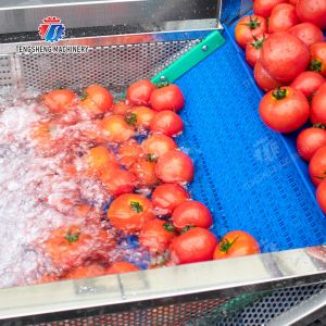 Leaves Leafy vegetables Cabbage varieties Herbs Fruiting vegetables Vegetables