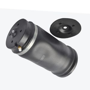 Auto Parts Air Suspension Kit For W164 ML Rear Air Spring 1643200625 2923200525