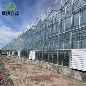 Affordable Film Covered Green House for Agricultural Farming Shipping Cost