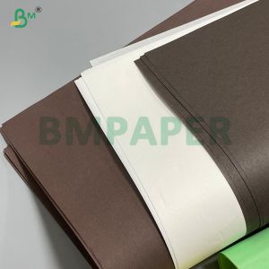 35gsm Odorless Cupcake Paper In Roll FDA SGS for Air Fryer Cooking Oven Use
