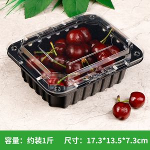 Customizable Disposable bowl with different material options suitable for