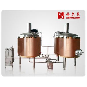 Quality Simple Maintenance 600L Two Vessel Brewing System Convenient Operation for sale