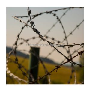 China Galvanized Barbed Wire Tape Razor Blade Fencing for Strong and Dependable Protection on sale