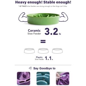 1.5 Cups Ceramic Dog Feeder Bowl Slow Down Eating
