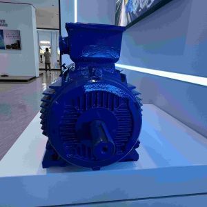 Water Resistant IP65 Three Phase Electric Motor