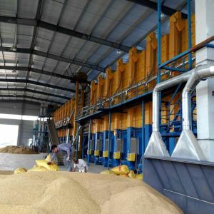 15 Tons Full Automation Continous Steamed Raw Paddy Dryer