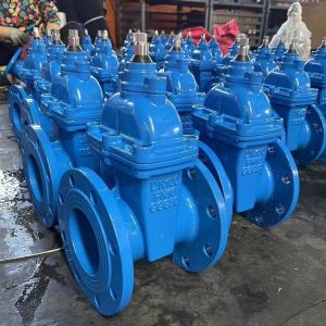 Quality Y type structure gate valve for soft seal and sluice gate performance for sale