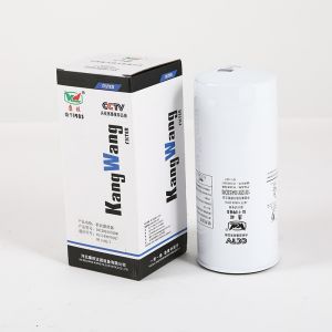 China 1012010A53DM Origin Semi Truck Fuel Filter Cartridge For Heavy-Duty Vehicles on sale