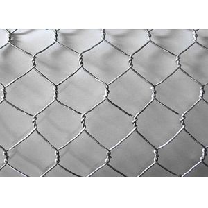 Quality Galvanized PVC Hexagonal Wire Mesh , 0.7mm*13mm*13mm Power Coated Bird Netting for sale