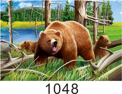 Custom 3D Lenticular Printing 60*80cm / Wall Poster 3D Animals Photos