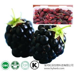 Buy cheap High quality organic dried Mulberry Fruit Extract powder from wholesalers